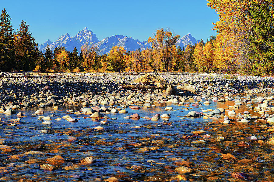 Autumn on Pilgrim Creek Photograph by Greg Norrell