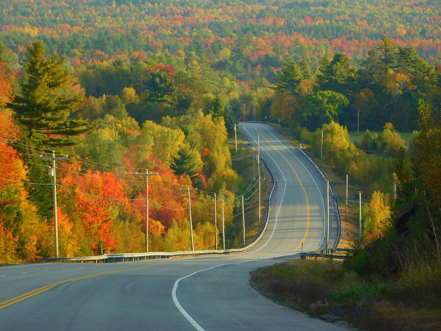 Autumn on the Airline Photograph by Karen Cook - Fine Art America