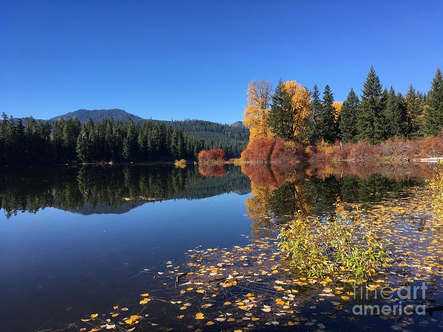 Autumn On The Fish Lake Oregon Photograph by Art Sandi - Fine Art America