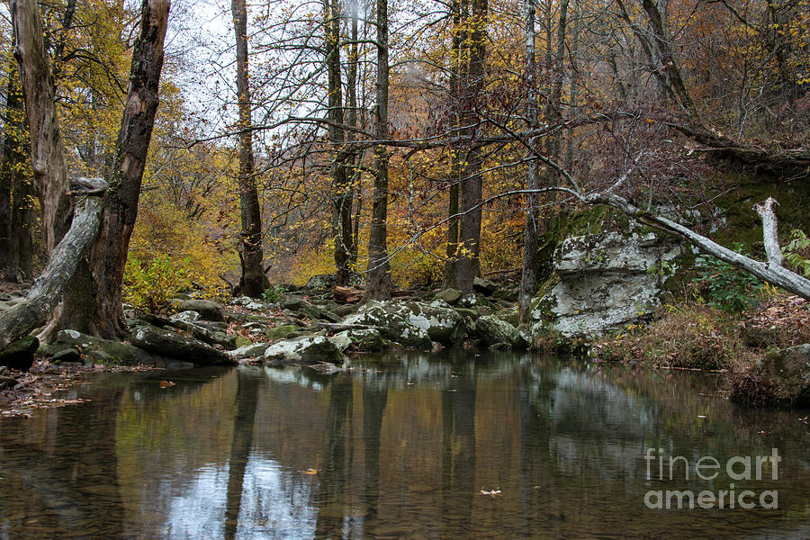 Autumn Photograph - Autumn on the Kings River by Joe Sparks Autumn Photograph - Autumn on the Kings River by Joe Sparks