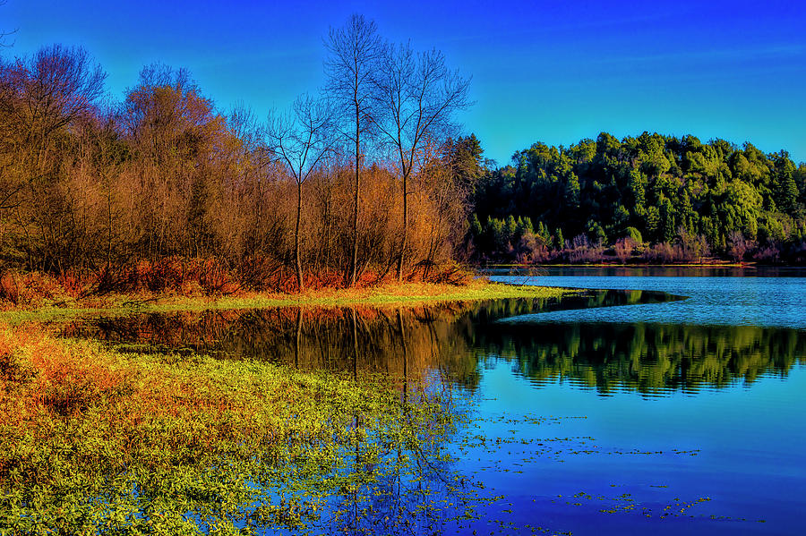 Autumn On The Lake Photograph by Garry Gay