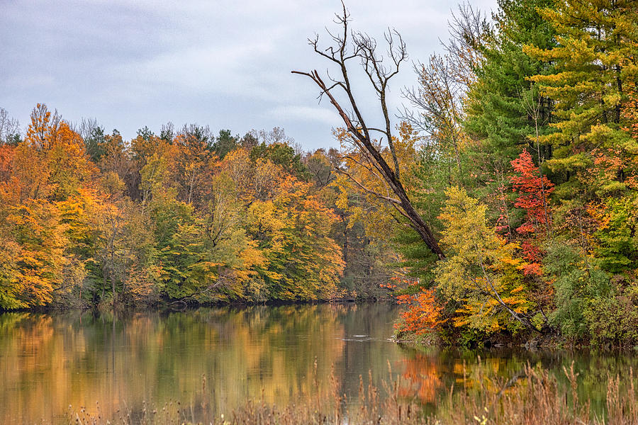 Autumn on the Oswego River Photograph by Rod Best