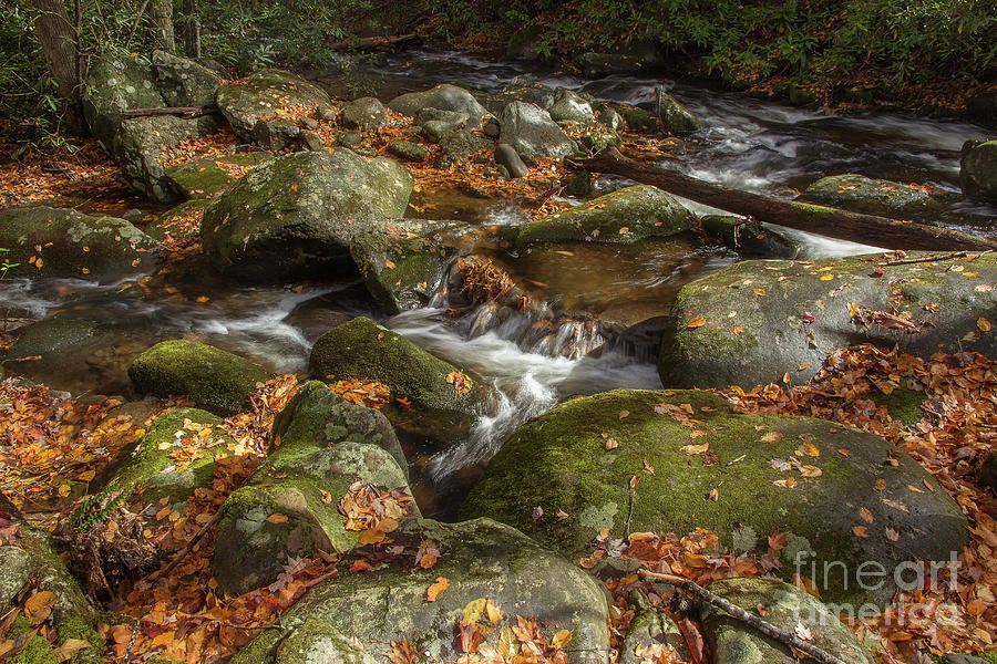 Autumn On The Rocks Photograph by Mike Eingle