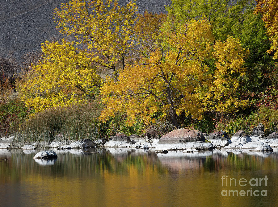 Autumn on the Snake River Photograph by Idaho Scenic Images Linda Lantzy