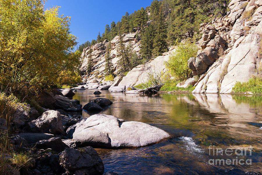 Autumn on the South Platte River Photograph by Steven Krull