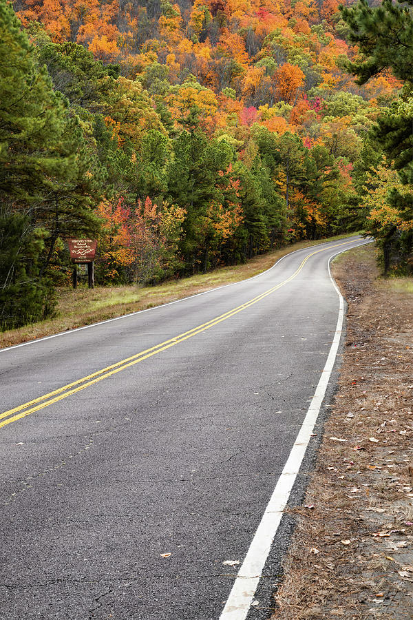 Autumn on the Talimena Scenic Byway Photograph by Gregory Ballos - Pixels