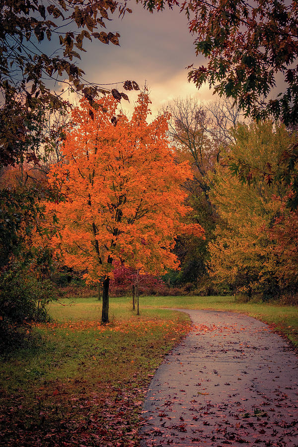 Autumn on the Trail Photograph by Allin Sorenson