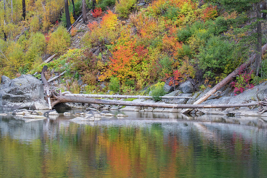 Autumn on the Wenatchee River  Photograph by Joan Septembre