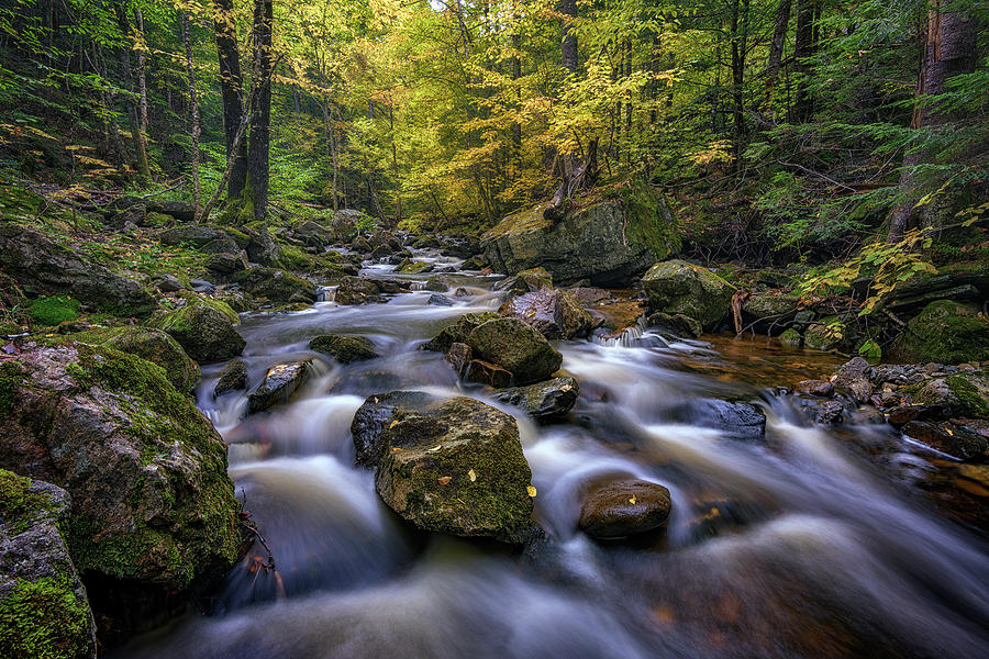 Autumn on the West Branch of the Ellis River by Rick Berk Autumn on the West Branch of the Ellis River by Rick Berk