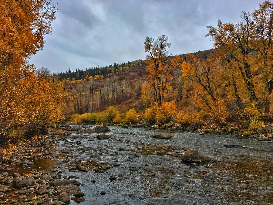 Autumn on the Yampa River Photograph by Dan Miller