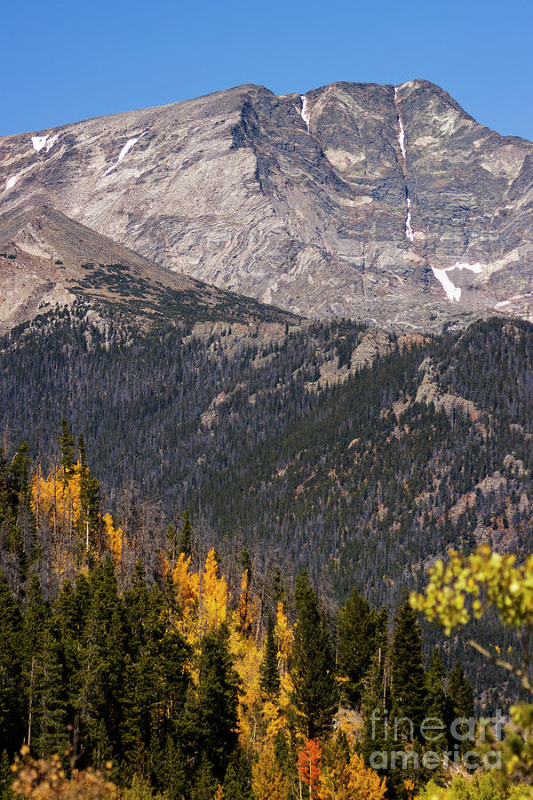 Autumn on Trail Ridge Road Photograph by Steven Krull