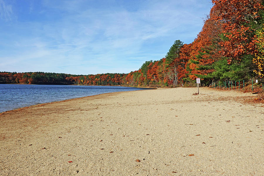 Autumn on Walden Pond Concord MA Photograph by Toby McGuire