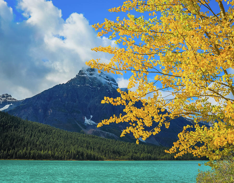 Autumn On Waterfowl Lake by Dan Sproul Autumn On Waterfowl Lake by Dan Sproul
