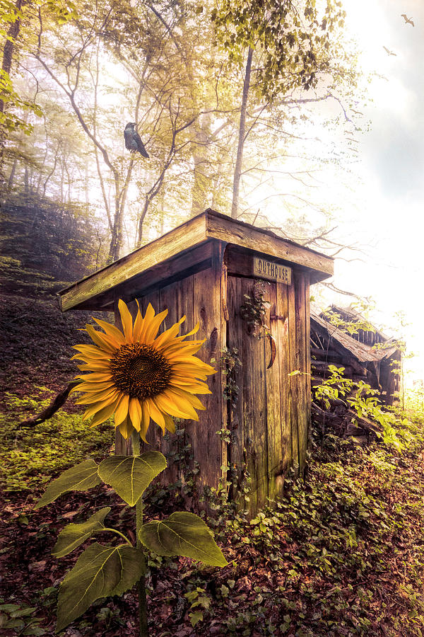 Autumn Outhouse Photograph by Debra and Dave Vanderlaan