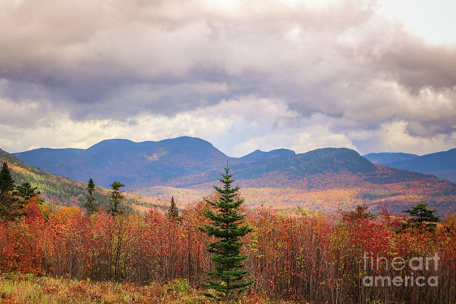 Autumn over the White Mountains Photograph by Claudia M Photography