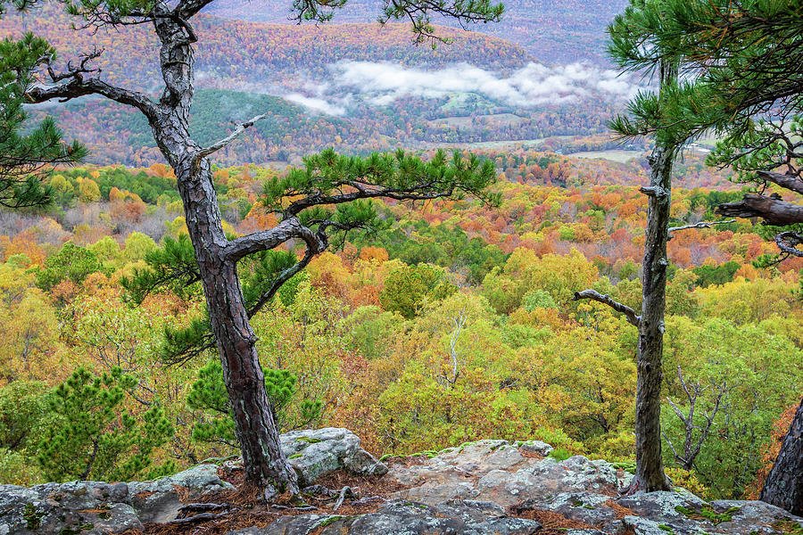 Autumn overlook Photograph by Jack Clutter
