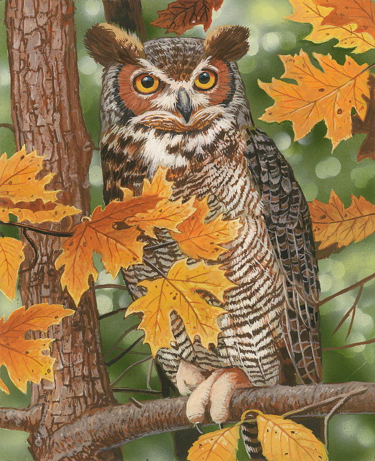 Autumn Owl Painting by William Vanderdasson - Fine Art America