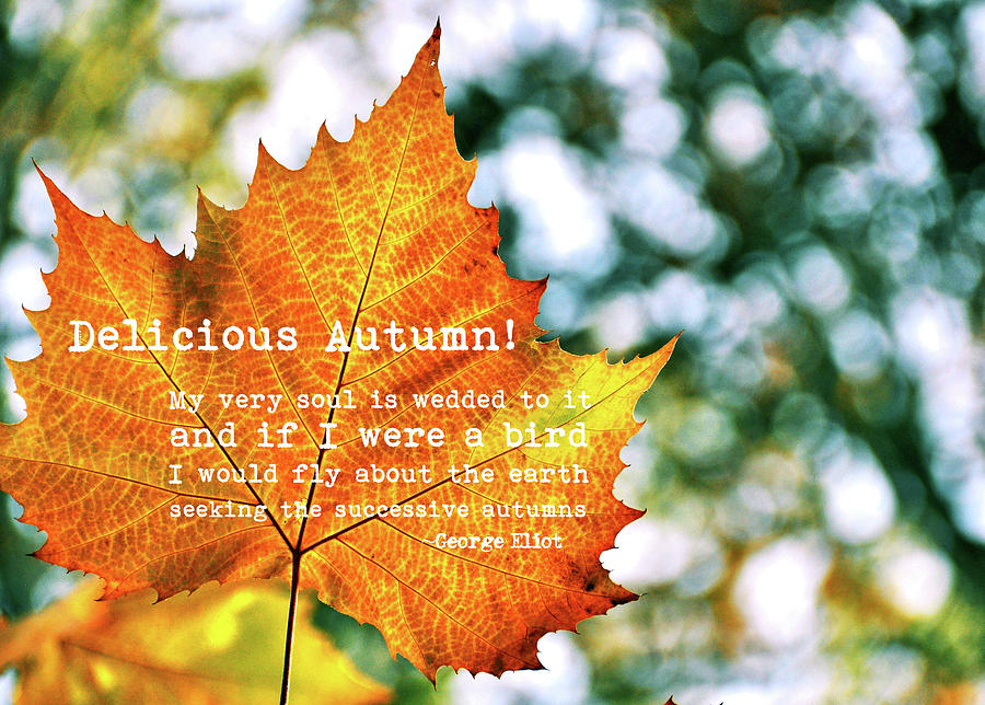 AUTUMN PAINTING quote Photograph by JAMART Photography