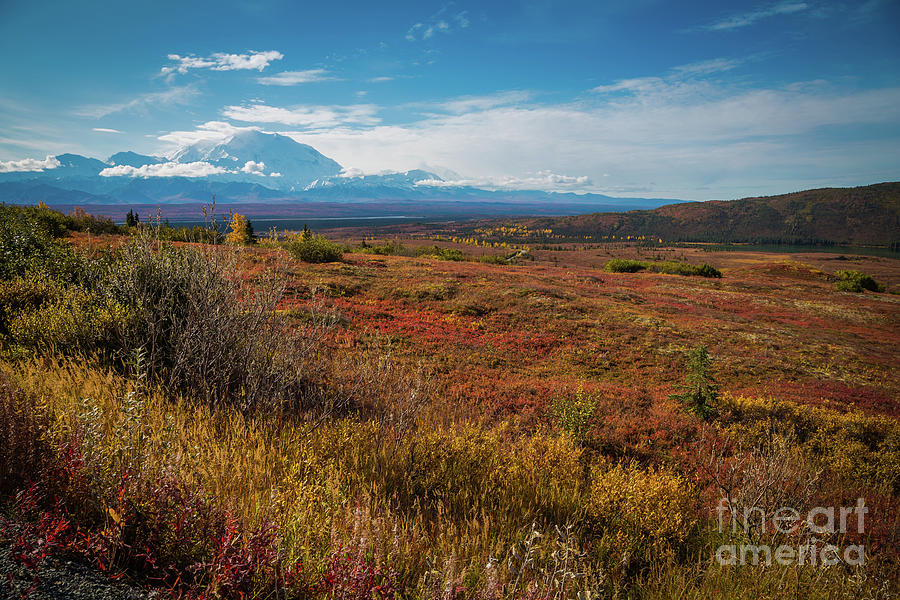 Fall Photograph - Autumn Palette at Denali National Park by Eva Lechner
