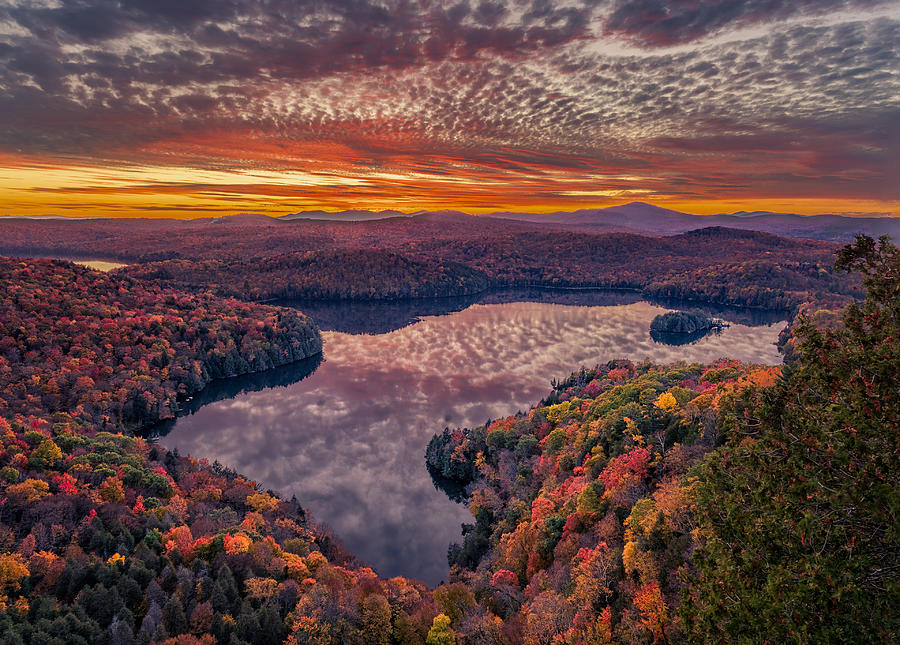 Autumn Palette Photograph by Grant Hou
