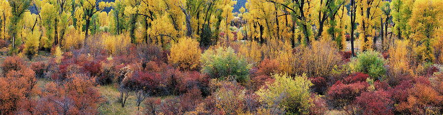 Autumn Panoramic Photograph by Leland D Howard