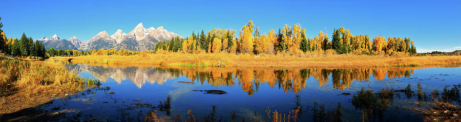 Autumn Panoramic Reflections at Schwabacher Landing Photograph by Greg Norrell