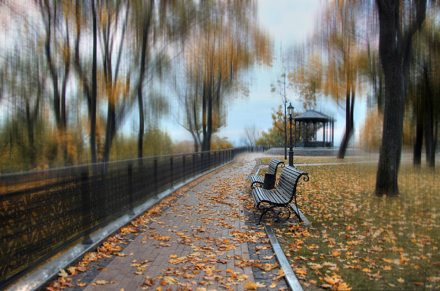 Fall Photograph - Autumn Park by Alexander Kiyashko