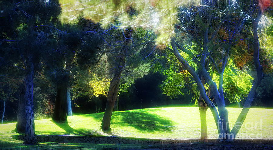 Autumn Park Colors Digital Paint  Digital Art by Chuck Kuhn