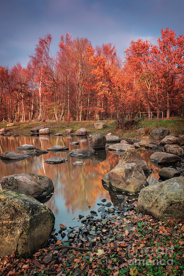 Autumn park landscape Photograph by Sophie McAulay