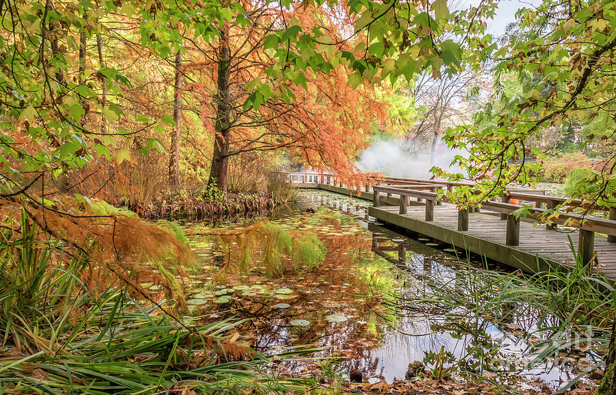 Fall Photograph - Autumn park by Viktor Birkus