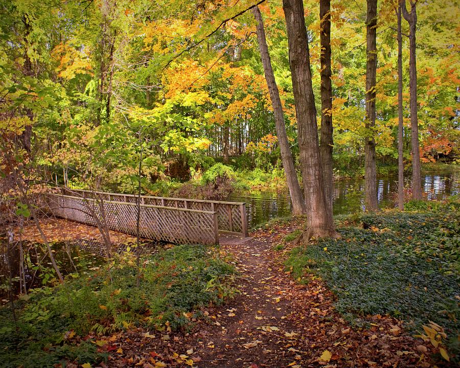 Autumn Path Photograph by LuAnn Griffin