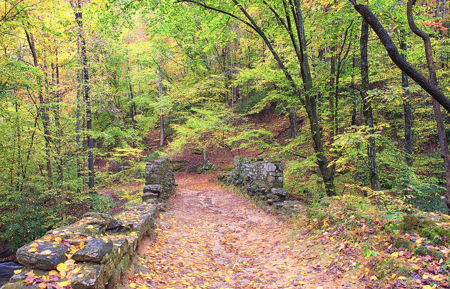 Autumn Pathway Photograph by Blaine Owens