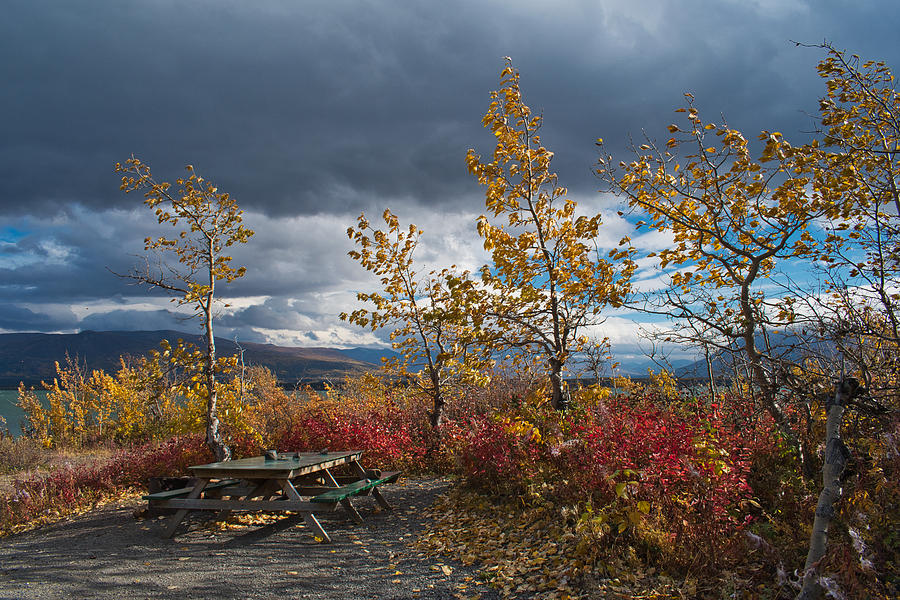Autumn Picnic Site - Dezadeash Lake - Canada Photograph by Cathy Mahnke