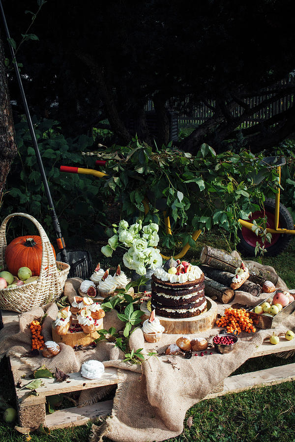 Autumn Picnic With Cupcakes And A Cake Photograph by Kate Prihodko