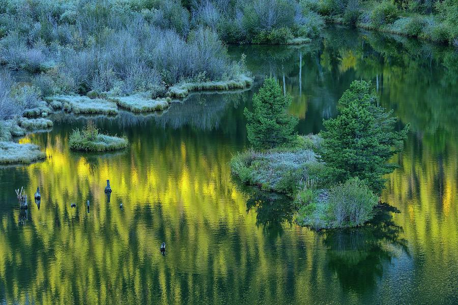 Autumn Plants Reflected In Pond Digital Art by Heeb Photos