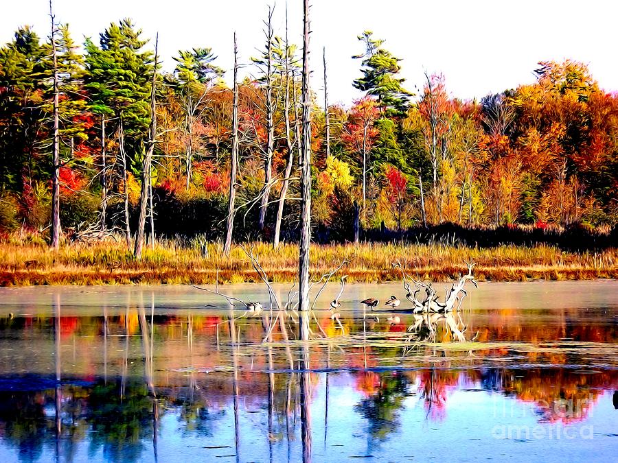 Autumn Pond at Beaver Meadow Audubon Center in North Java NY Abstract Effect Photograph by Rose Santuci-Sofranko