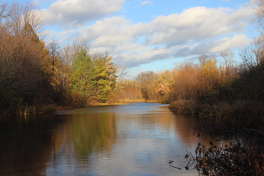 Pond Photograph - Autumn Pond by Callen Harty Pond Photograph - Autumn Pond by Callen Harty