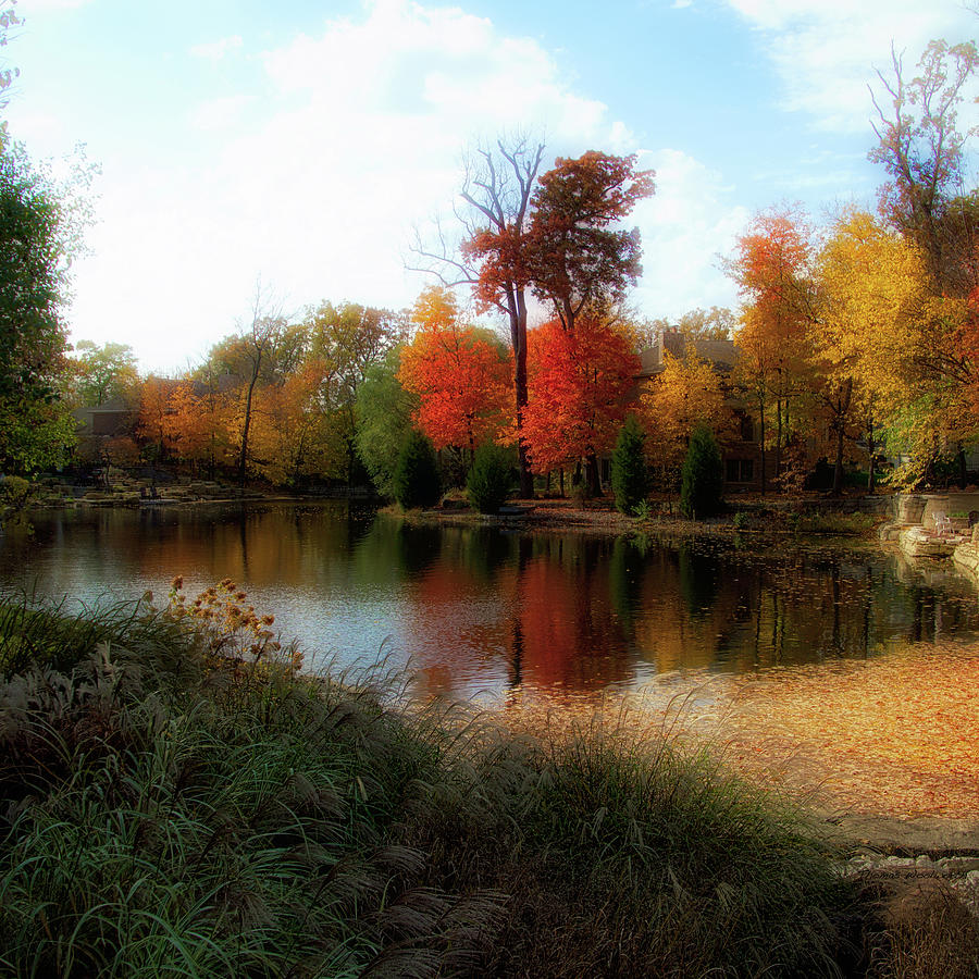 Autumn Pond Colors 2016 SQ Format Photograph by Thomas Woolworth