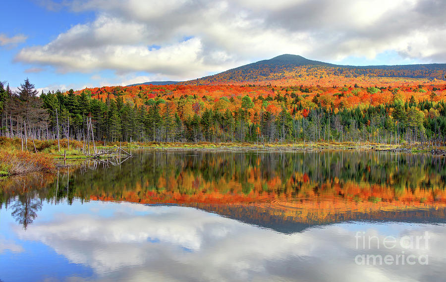 Autumn pond in the White Mountians Region of New Hampshire Photograph ...