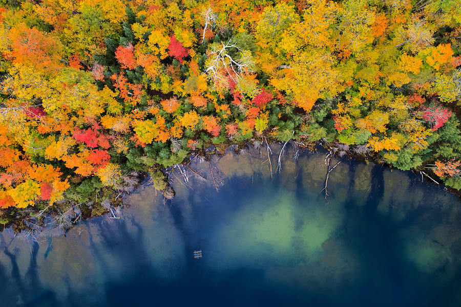 Autumn Pond Photograph by John Fan
