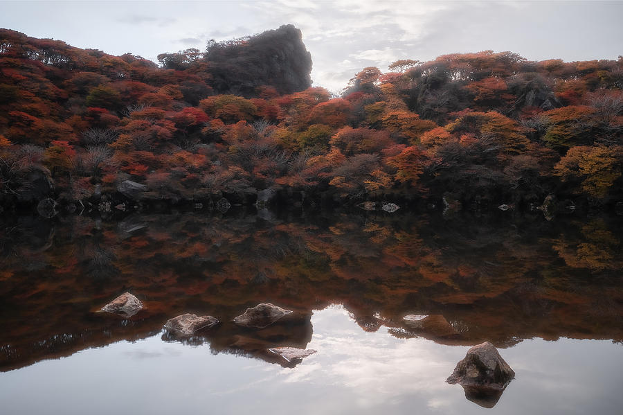 Autumn Pond Photograph by Takumiikeda
