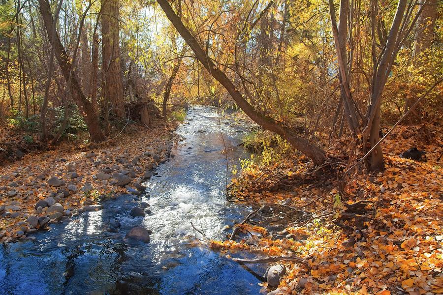 Autumn Powers Creek Photograph by Allan Van Gasbeck