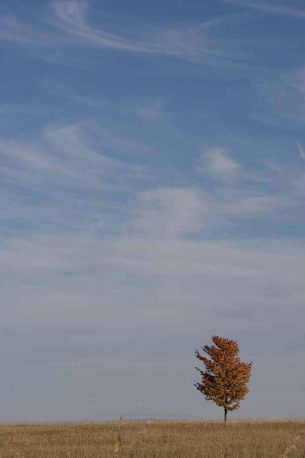Autumn Prairie Sky by Dylan Punke Autumn Prairie Sky by Dylan Punke