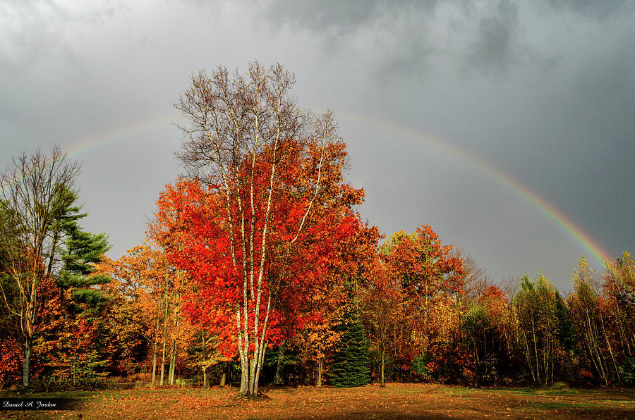 Fall Photograph - Autumn Promise by Dan Jordan