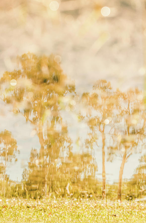 Autumn puddles Photograph by Jorgo Photography