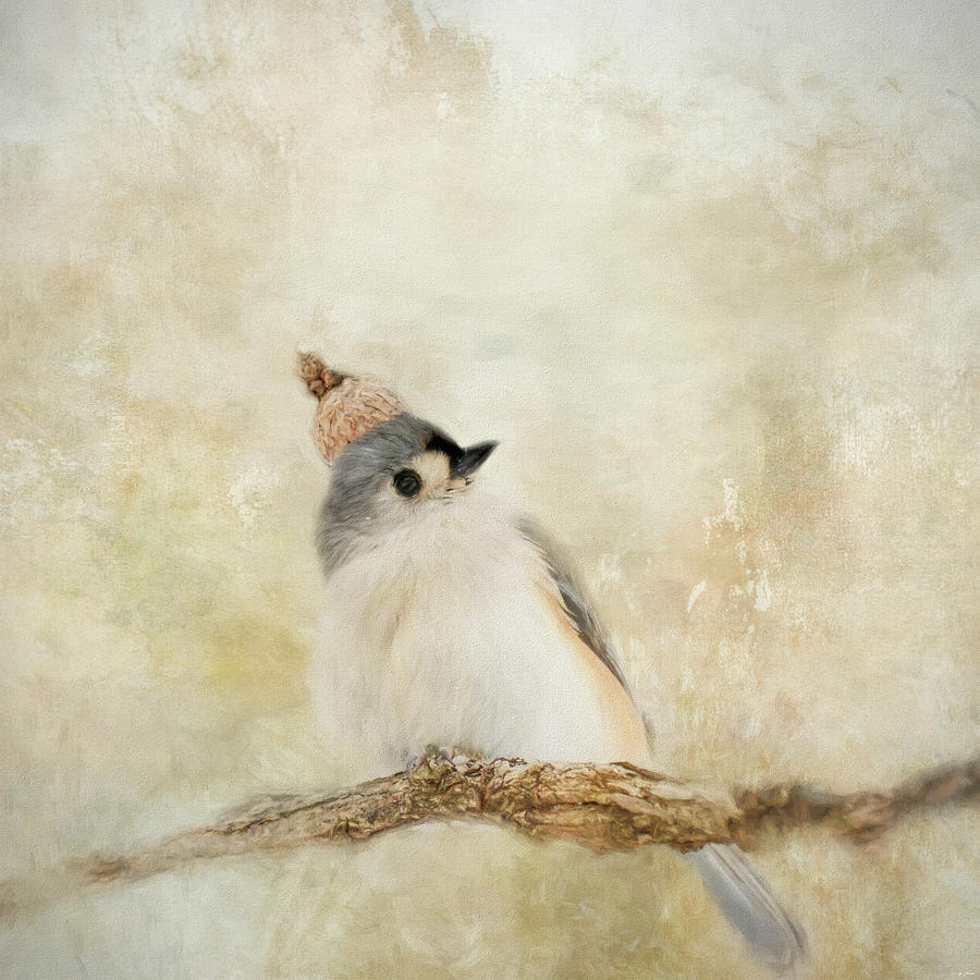 Bird Photograph - Autumn Queen by Jai Johnson