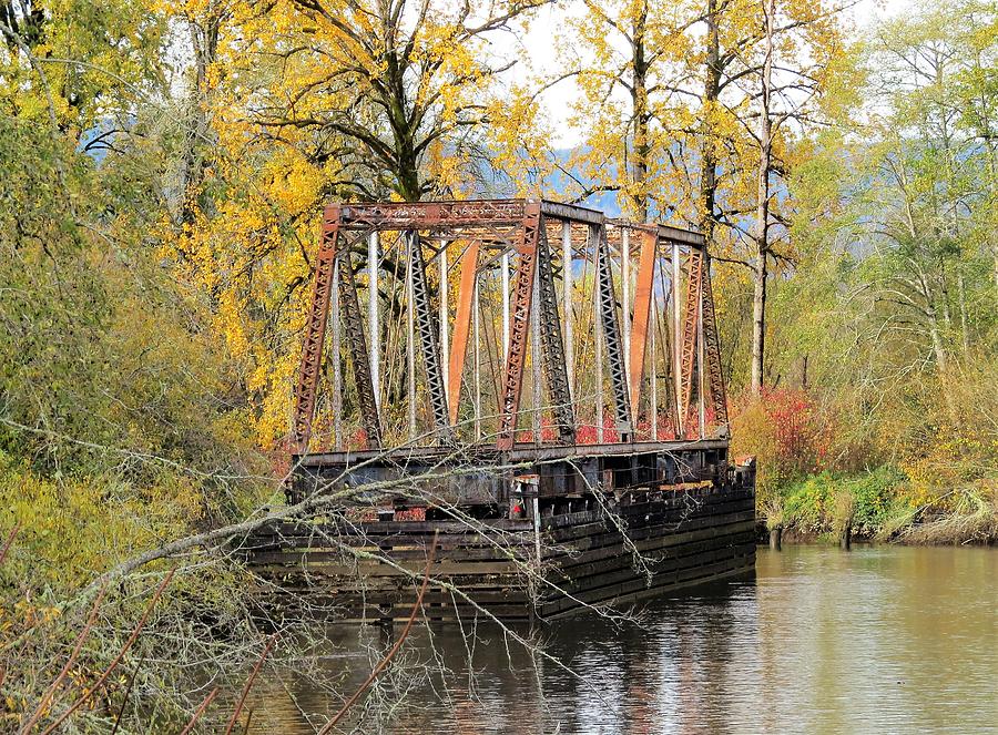 Autumn Railroad Bridge Photograph by Linda Vanoudenhaegen