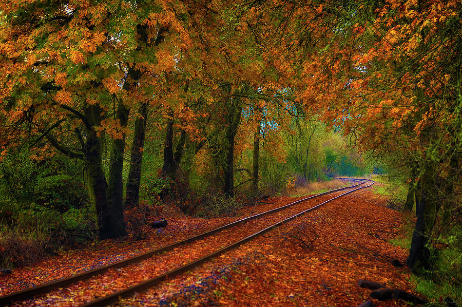 Autumn Rails Photograph by Dee Browning