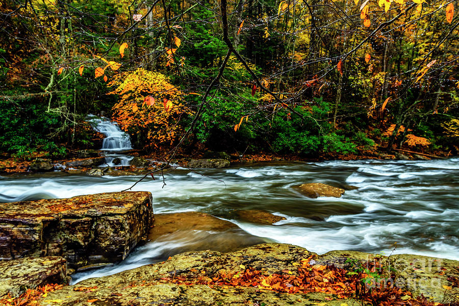 Autumn Rain Back Fork of Elk River Photograph by Thomas R Fletcher