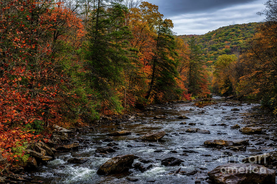 Autumn Rain Cranberry River Photograph by Thomas R Fletcher